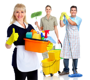 professional-cleaners